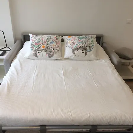 Grand Studio Proche Croisette Appartement Cannes